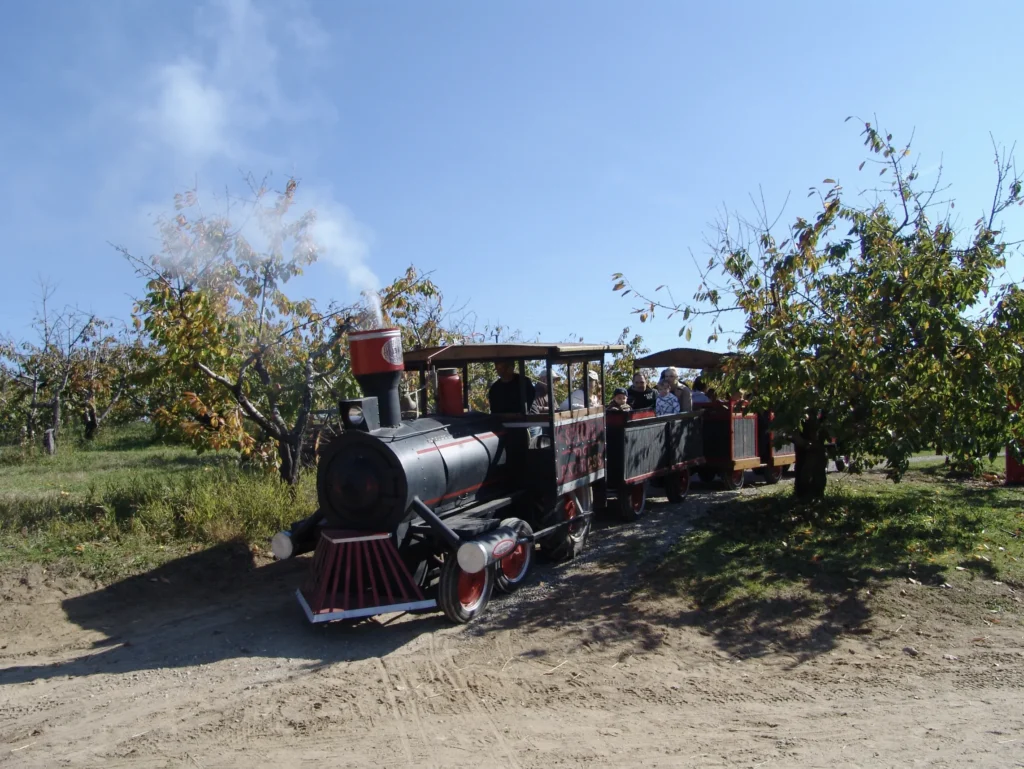 train ride at spicer orchards on a sunny fall day